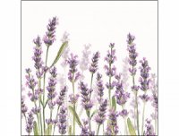 Papierserviette - klein - Lavender shades white