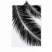 Poster A4 - Palm Leaf