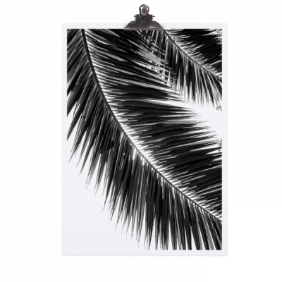 Poster A4 - Palm Leaf - zum Schließen ins Bild klicken